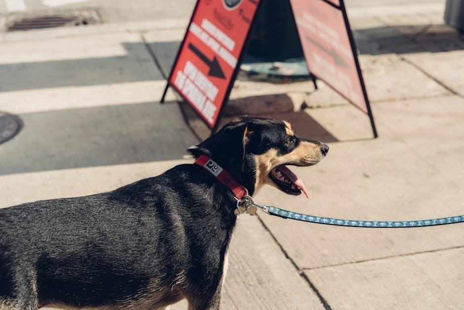 dog vaccination schedule chart pdf