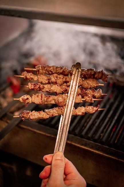 char broil grill user manual