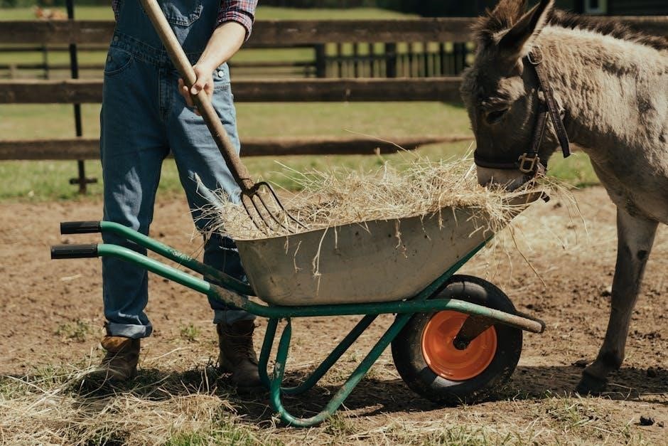 livestock judging manual