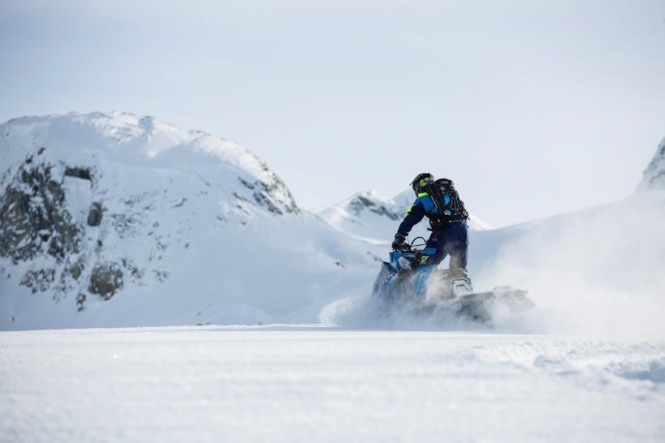 ski doo instructions
