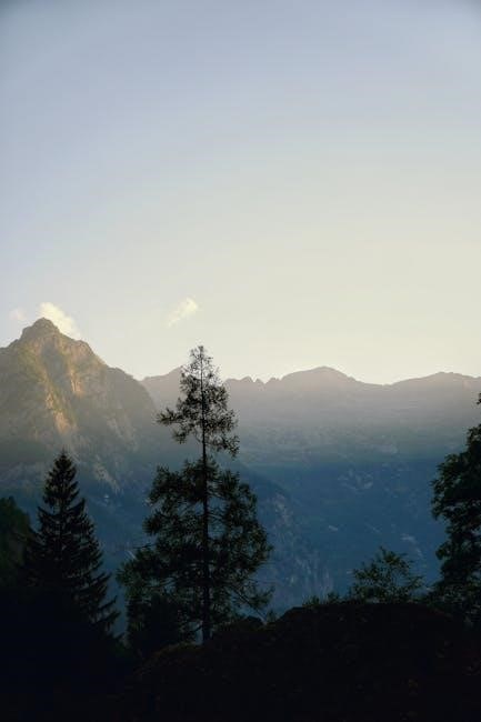 prochem peak manual